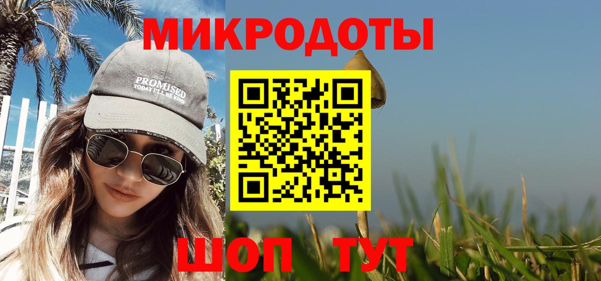 Галлюциногенные грибы мицелий  Псилоцибиновые грибы Psilocybe  Вход с VPN  Кандалакша 